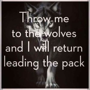 Meet your Posher, Carmen